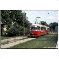 1997-08-17 62 Lainz 4453 (02620115).jpg
